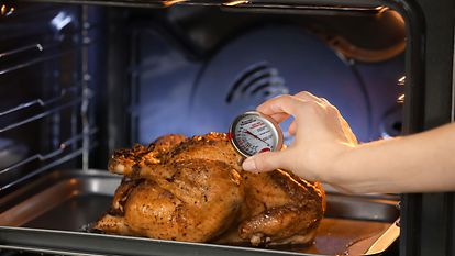 Thermometer, Bi-metal Oven